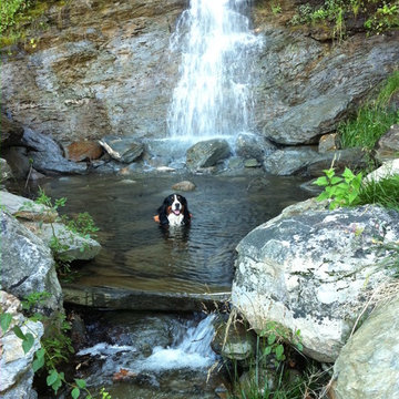 Waterfall & Pond