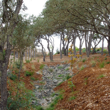 Natural Drainage