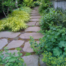 Side yard looks