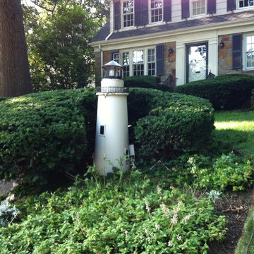 Hedge/Shrub Trimming