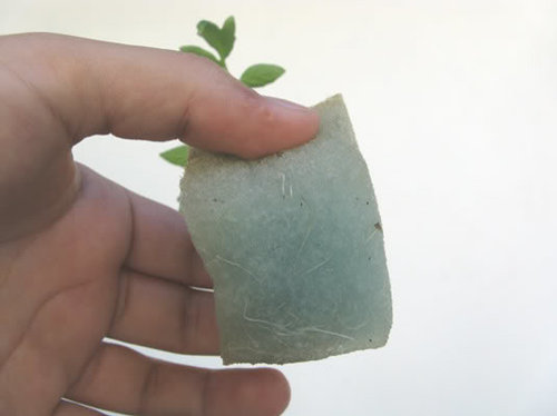 Using polyurethane foam as seed starter