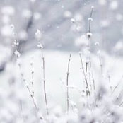 Photo de Marcia Motsch