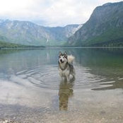 Regina Clark's photo