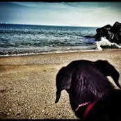 Daniela Stoyanova's photo