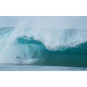 Dana Tron's photo