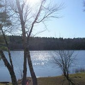 Colleen MacNeil's photo