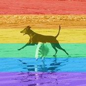 Dana Heinz's photo