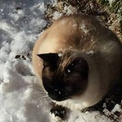 Brenda Koyle's photo