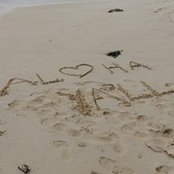 Laura Beth Frey's photo