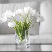 Orchid Nguyễnさんの写真