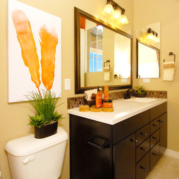 Evolve @ Marbella Vineyards | Gilbert, AZ | 5592- Renew Plan