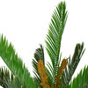 5' Potted Two Tone Green Cycas Artificial Floor Plant