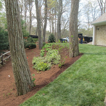 Complete yard renovation