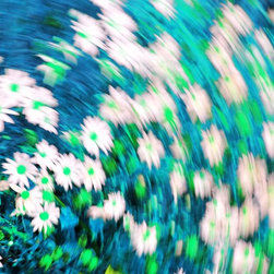 Fine Art Photography - Digital paintings - Products