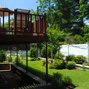 Backyard: A New Beginning