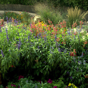 Southwest Oasis