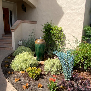 Presidio Park Refresh