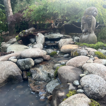 Pond Repair