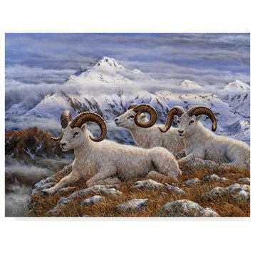 Jeff Tift 'Denali Rams' Canvas Art, 24"x18"
