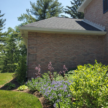 The Immersive Garden