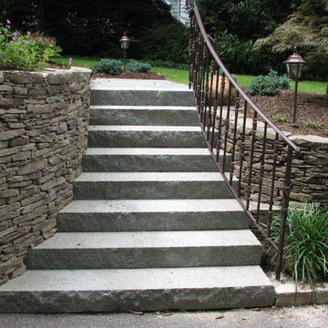 Stoops and Steps