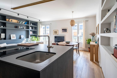 This is an example of a kitchen in Paris.