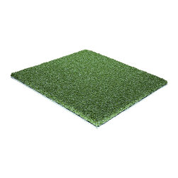 SYNLawn Precision Putt - Outdoor Products