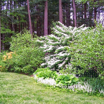 Garden Designs