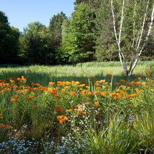 Retirement 2.0 - Yard And Garden