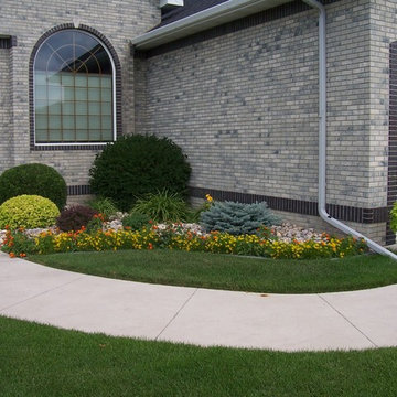 Plant Scapes