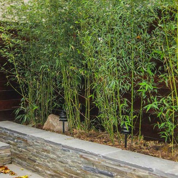 9th Street Family Garden