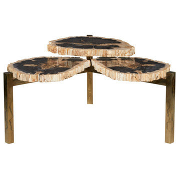 Elegant Coffee Table, Golden Metal Base With 3 Tiered Petrified Wood Stone Top