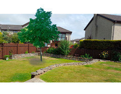 Help - can't decide on fence paint colour | Houzz UK