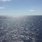 Lisa Speakes-Blain's photo