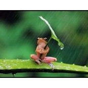 Sharon Troost's photo