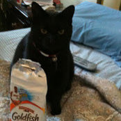 colleen applewhites foto