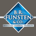 Foto de perfil de B R Funsten & Company