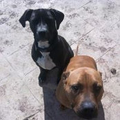 Tracy Elliott's photo