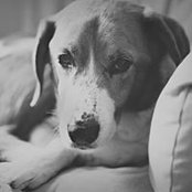 Paige Everson's photo
