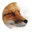 Fox Custom Woodworks