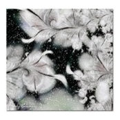 Chrissy Aldridge's photo