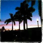 Dawn Doran's photo
