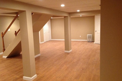 Basement - traditional basement idea in New York