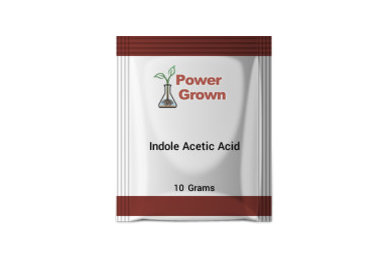 Indole-3-acetic acid IAA 99% 10 Grams