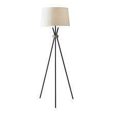 Floor Lamps