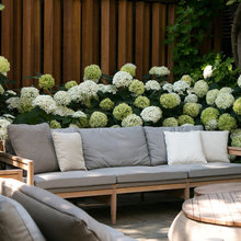 Garden Tour: A London Courtyard Blooms With Year-round Colour