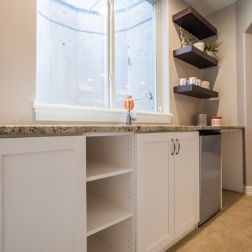 South Stapleton Estate Home Basement refresh