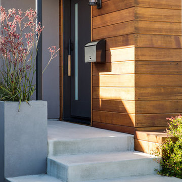 San Mateo Renovation