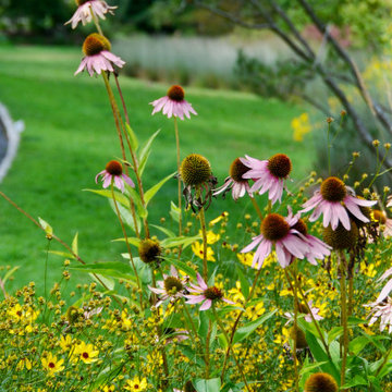 Native Meadow