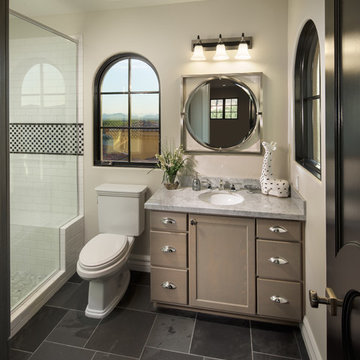 New Build Silverleaf North Scottsdale Residence